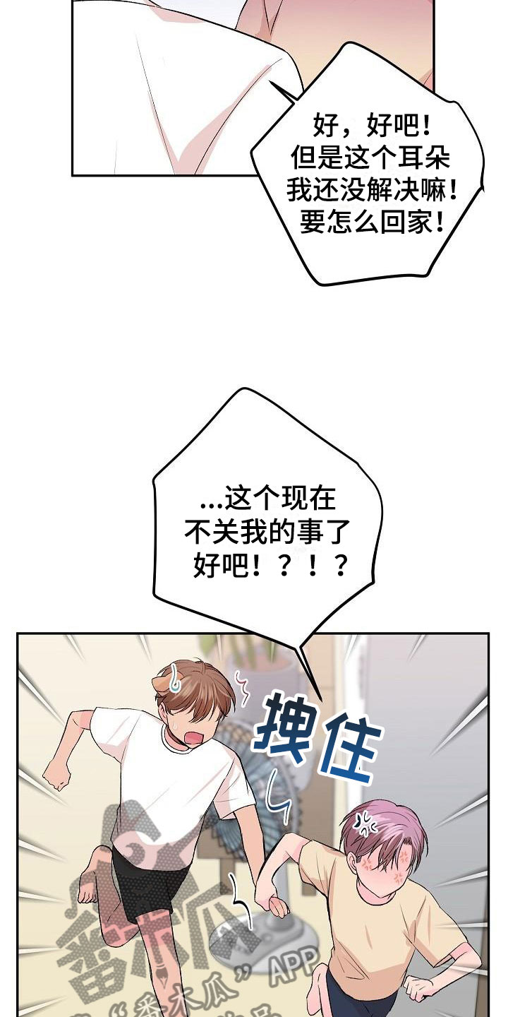 第28章：我的狗男孩：扫地出门0