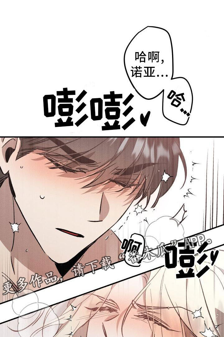 第12章：薰衣草花园：喜欢0
