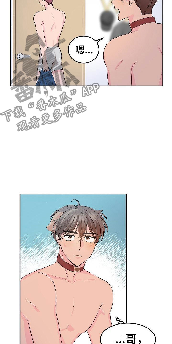 第24章：我的狗男孩：冷漠1