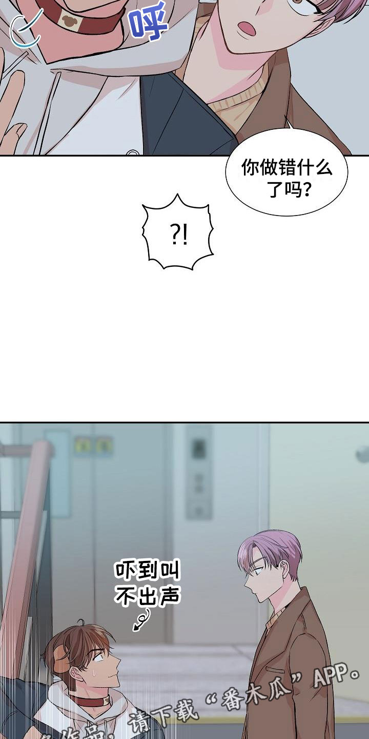 第20章：我的狗男孩：产品试用4