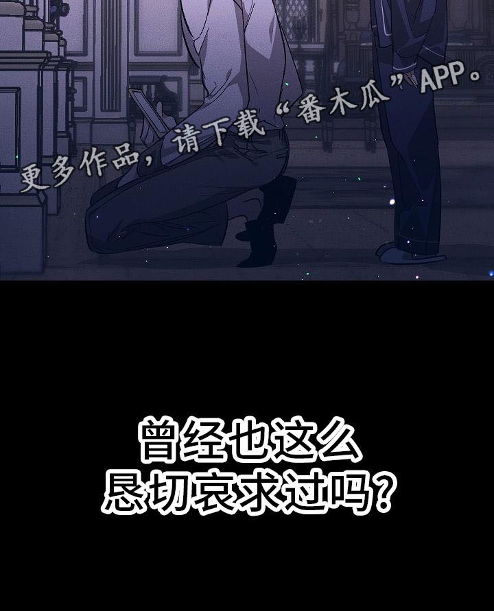 第4章：薰衣草花园：盗窃1