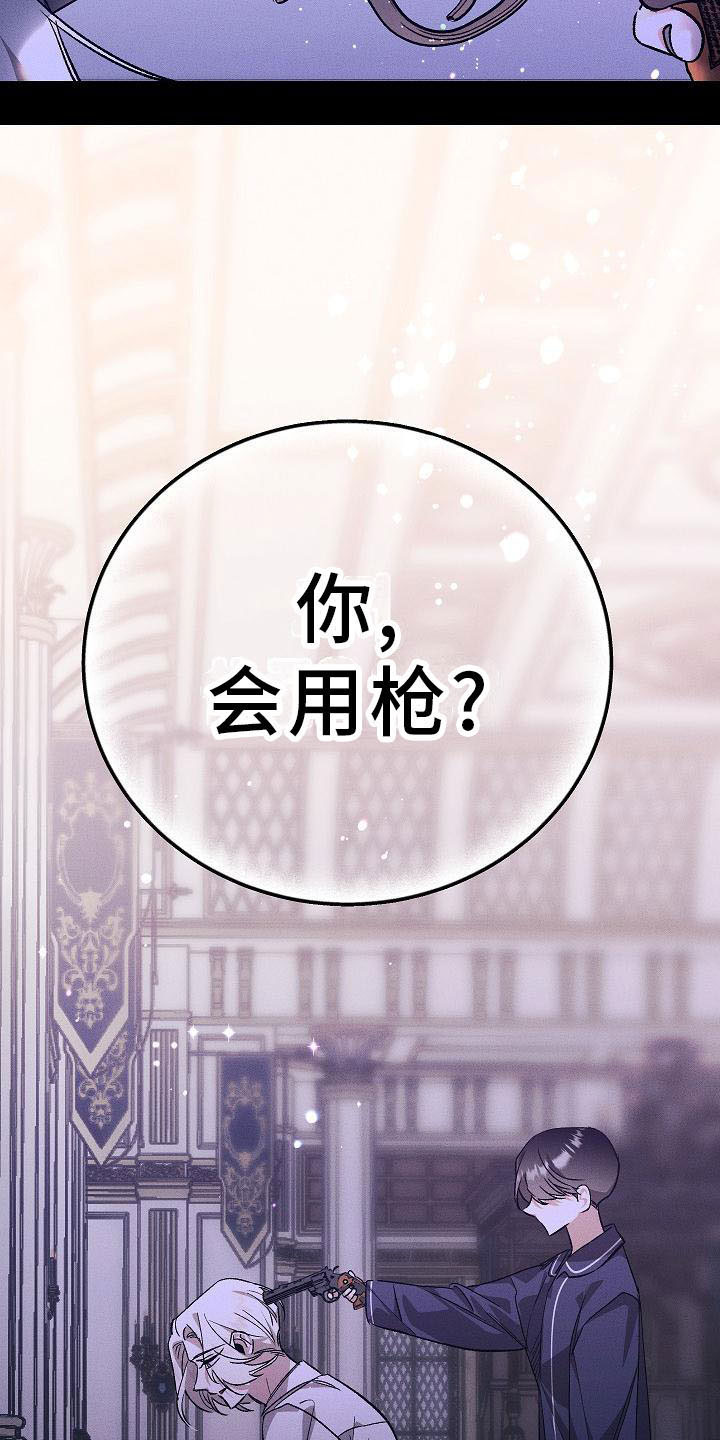 第4章：薰衣草花园：盗窃0