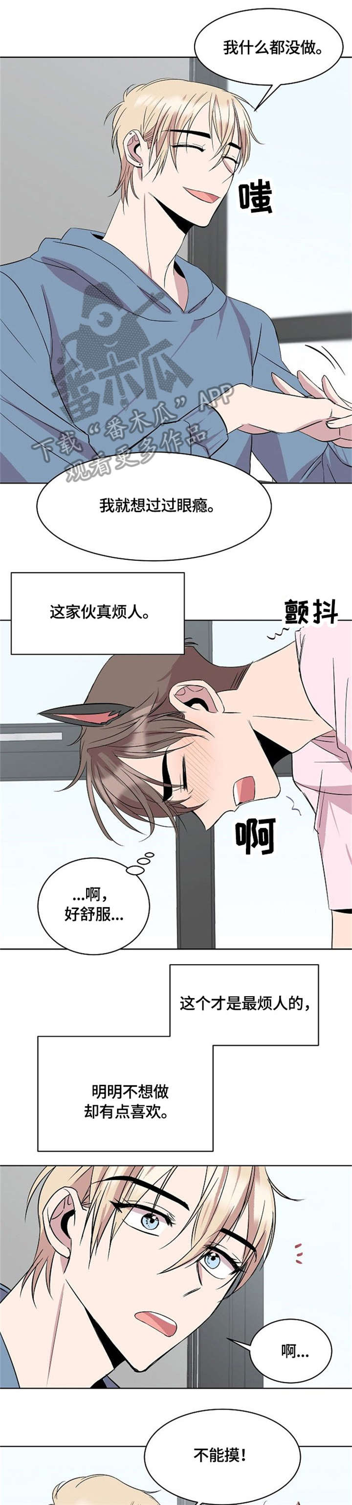 第15章：猫耳3