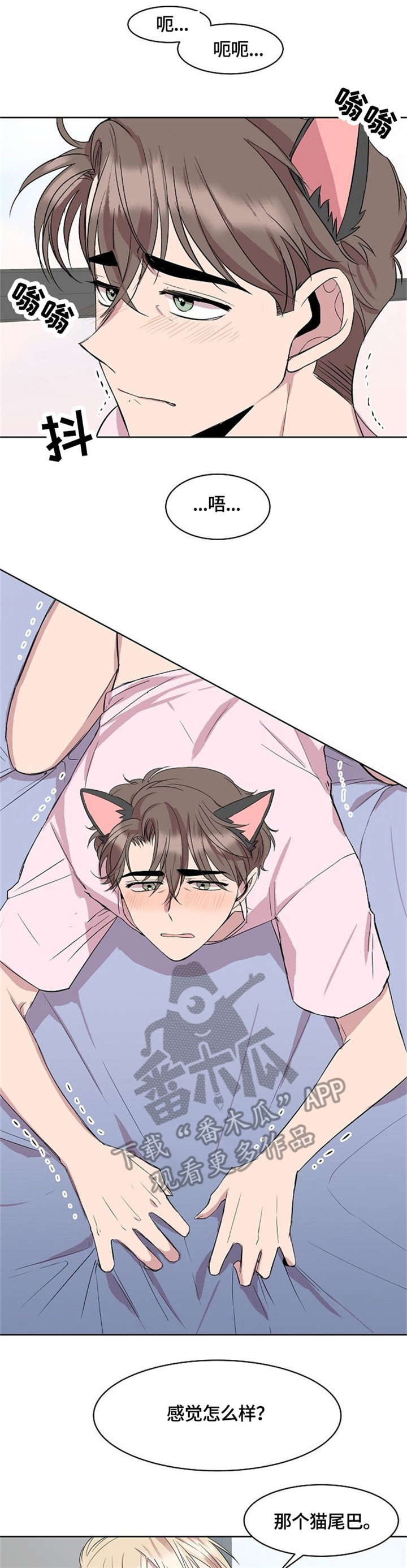 第15章：猫耳0