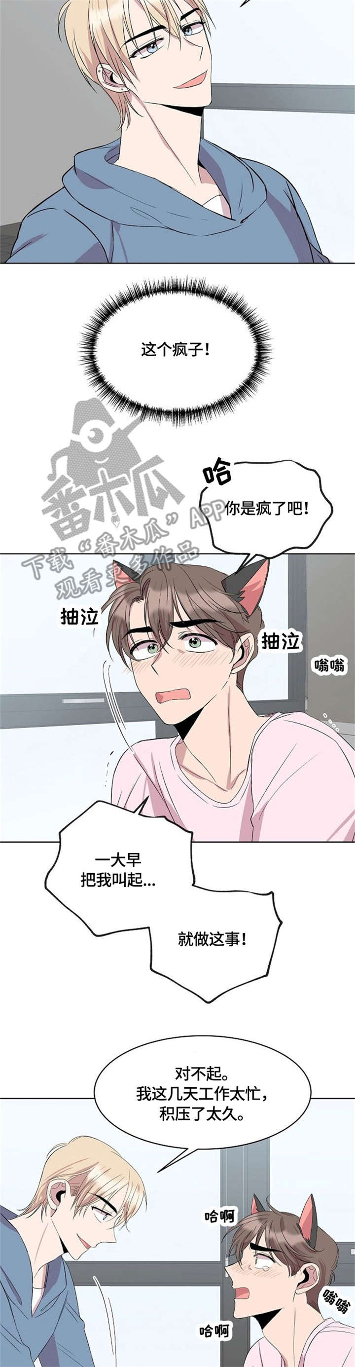 第15章：猫耳1
