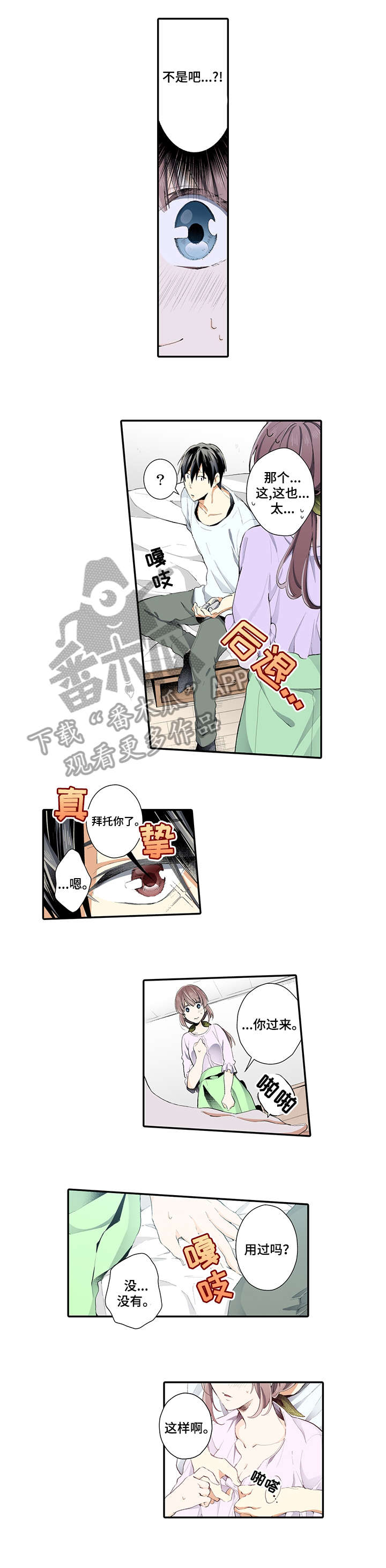 第11章：魅力0