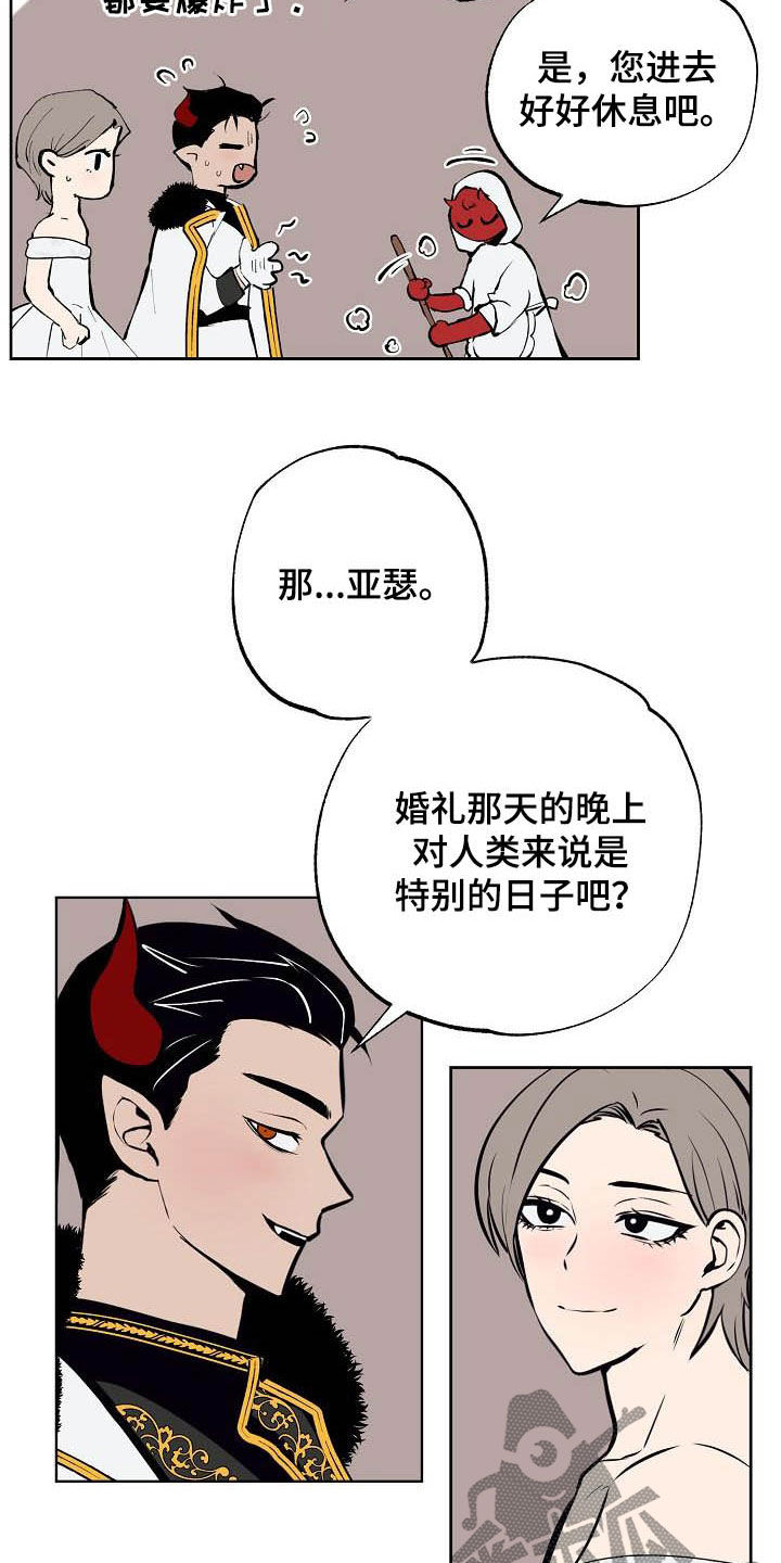 第116章：【番外完结】伴侣1
