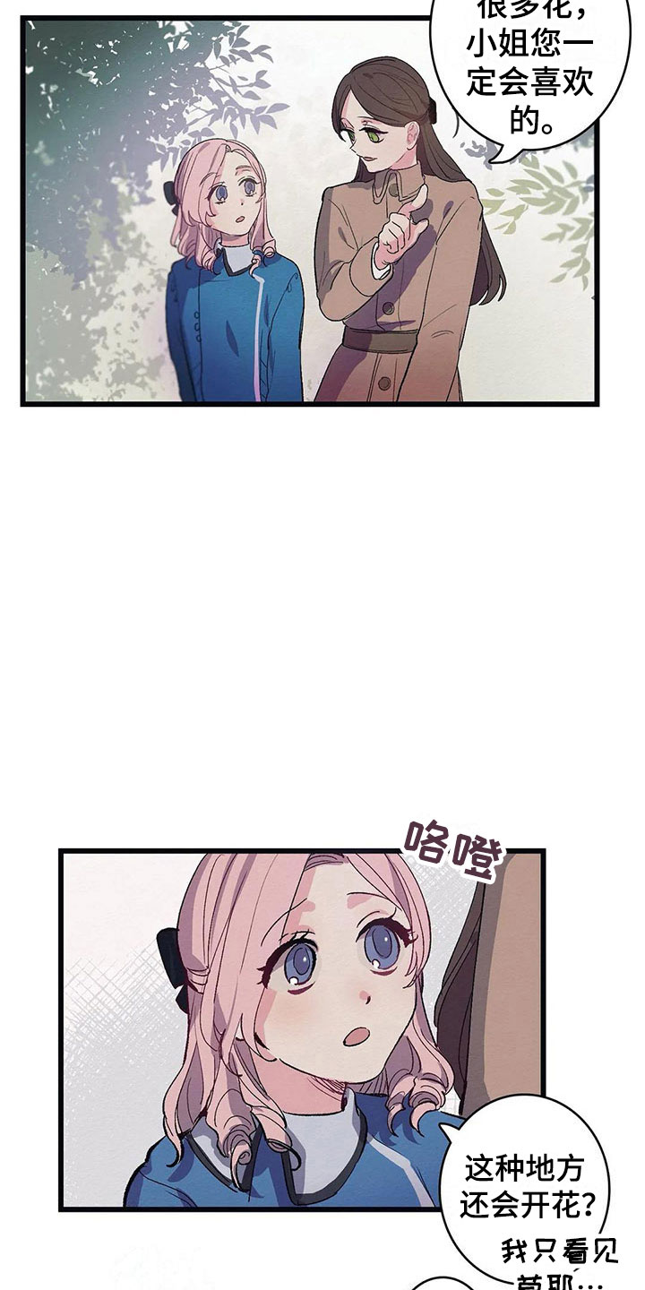 第8章：迷路4