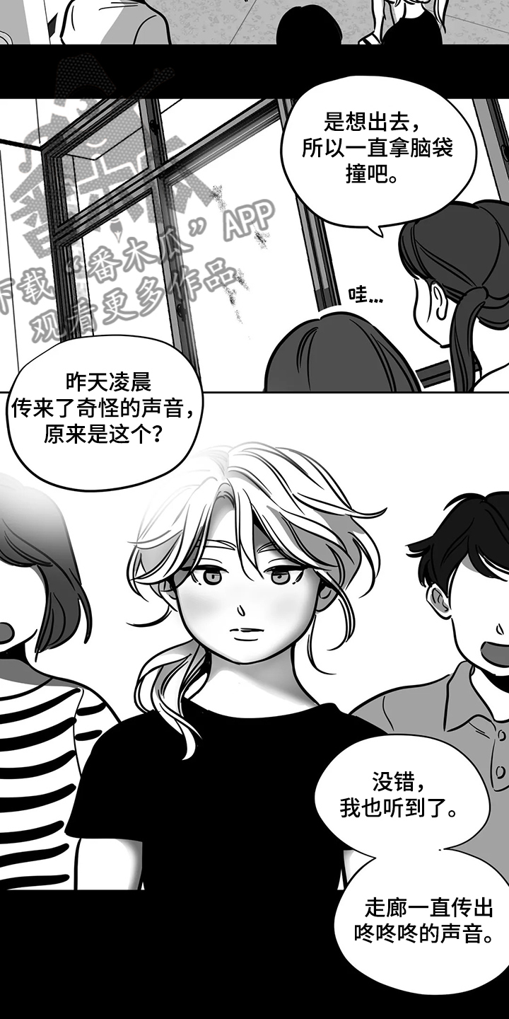 第65章：【第二季】撞死的鸟1