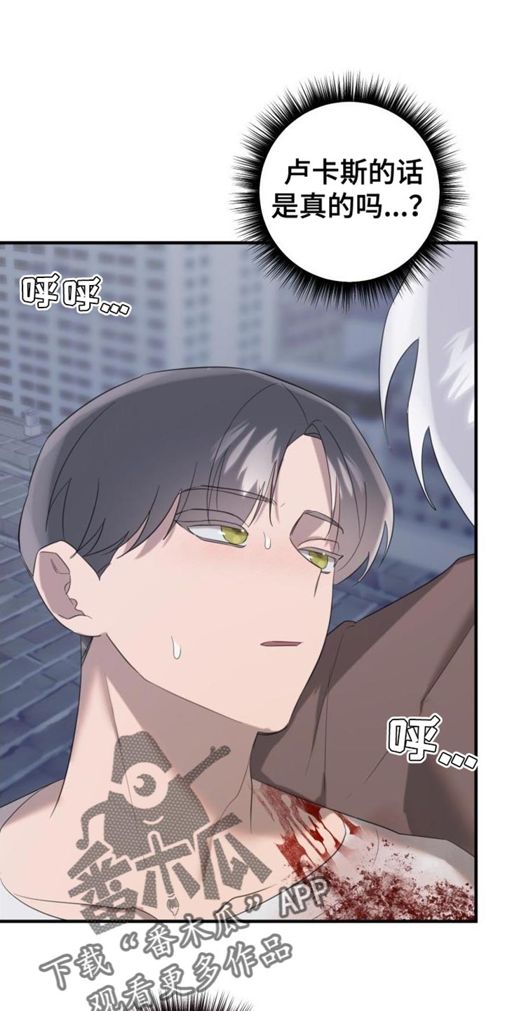 第17章：变成吸血鬼4