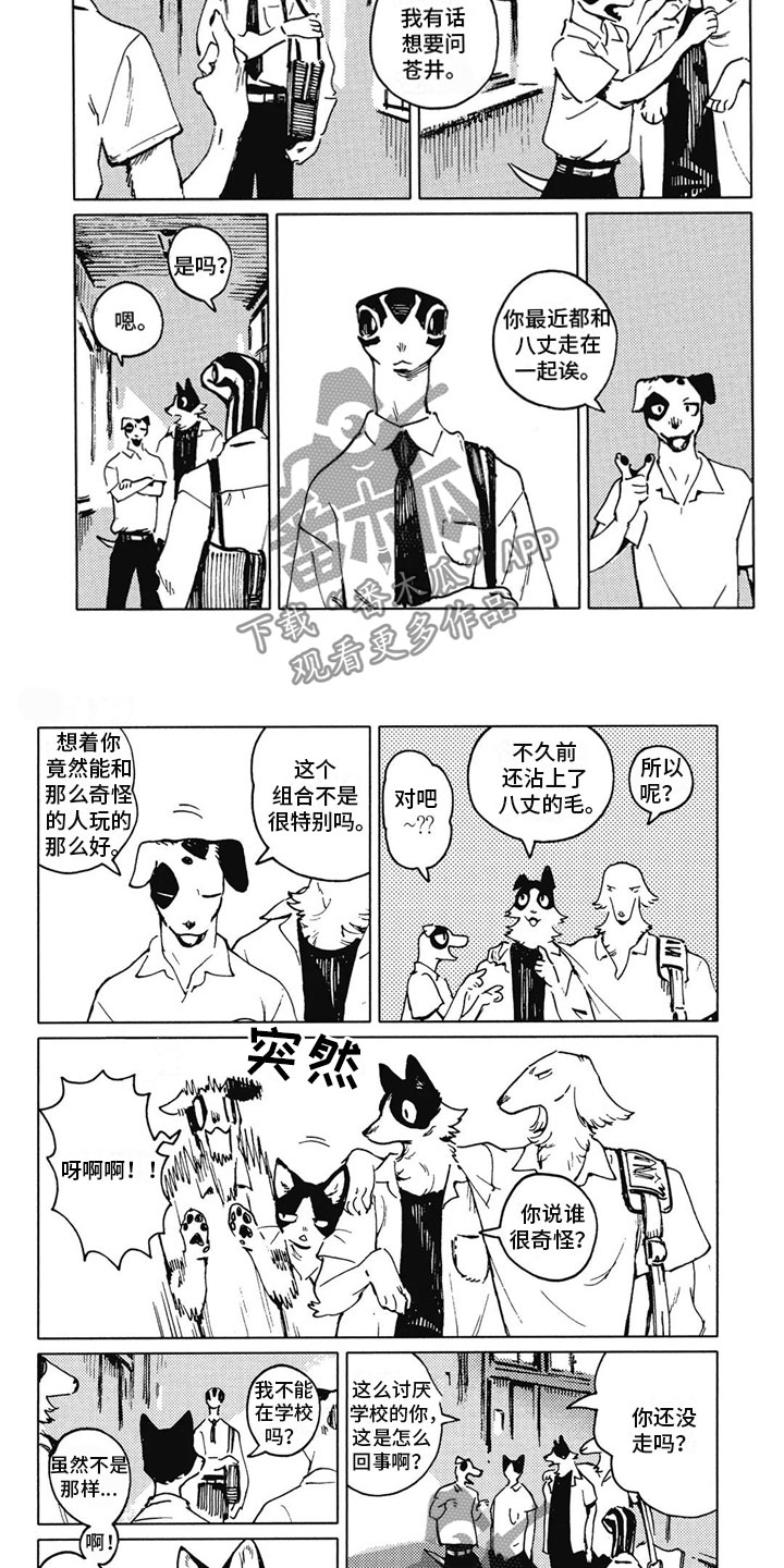 第14章：好奇1