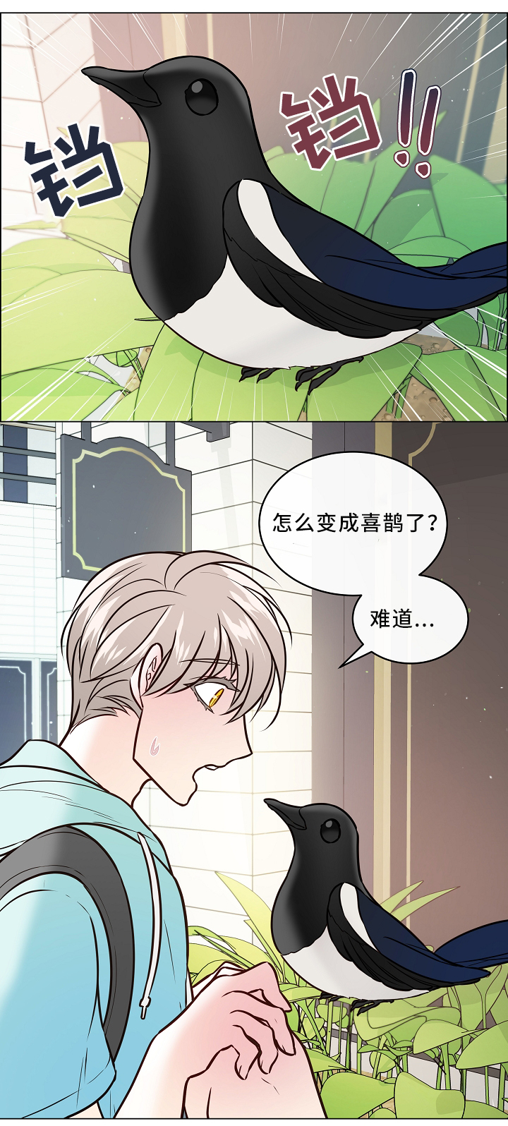 第43章：喜鹊的秘密0