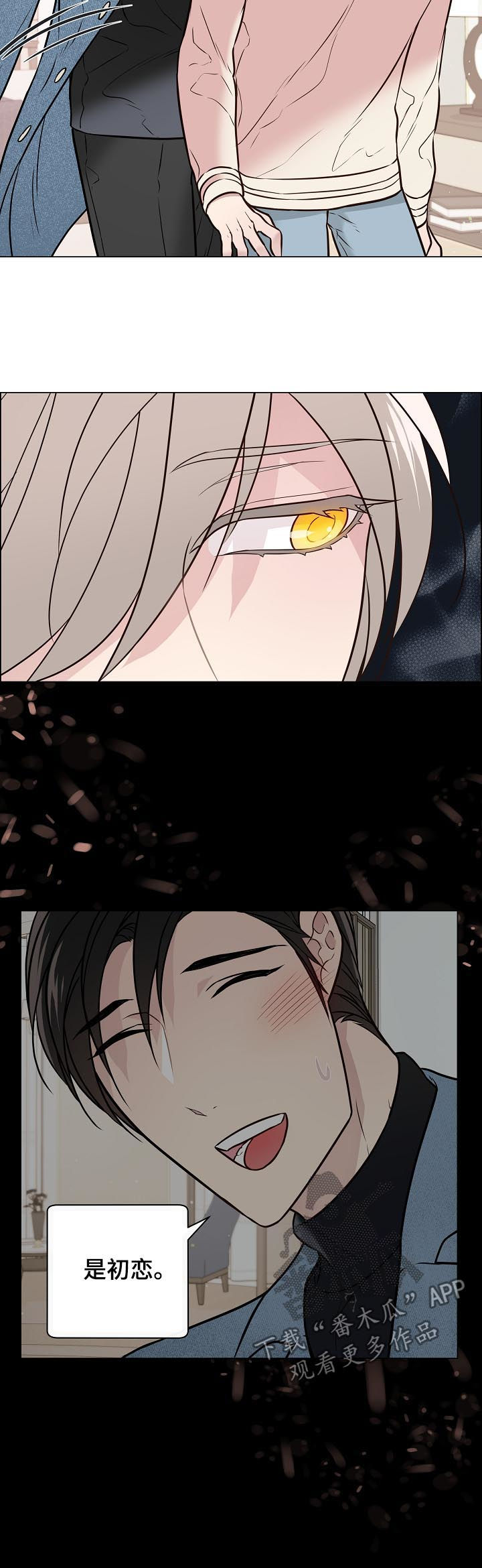 第63章：不是未婚夫了1