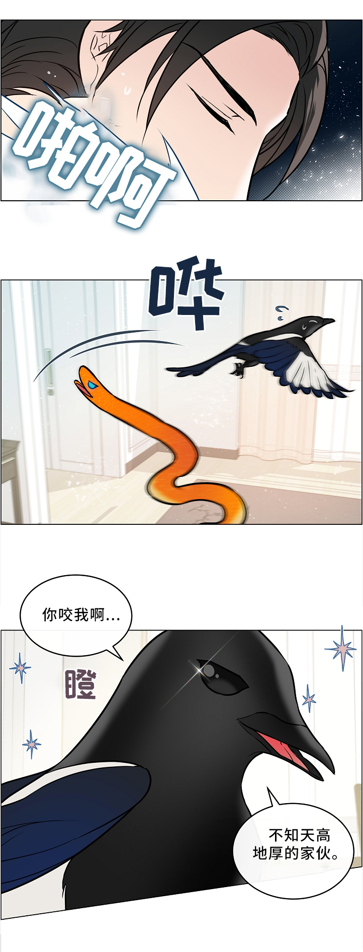 第46章：两只宠物3