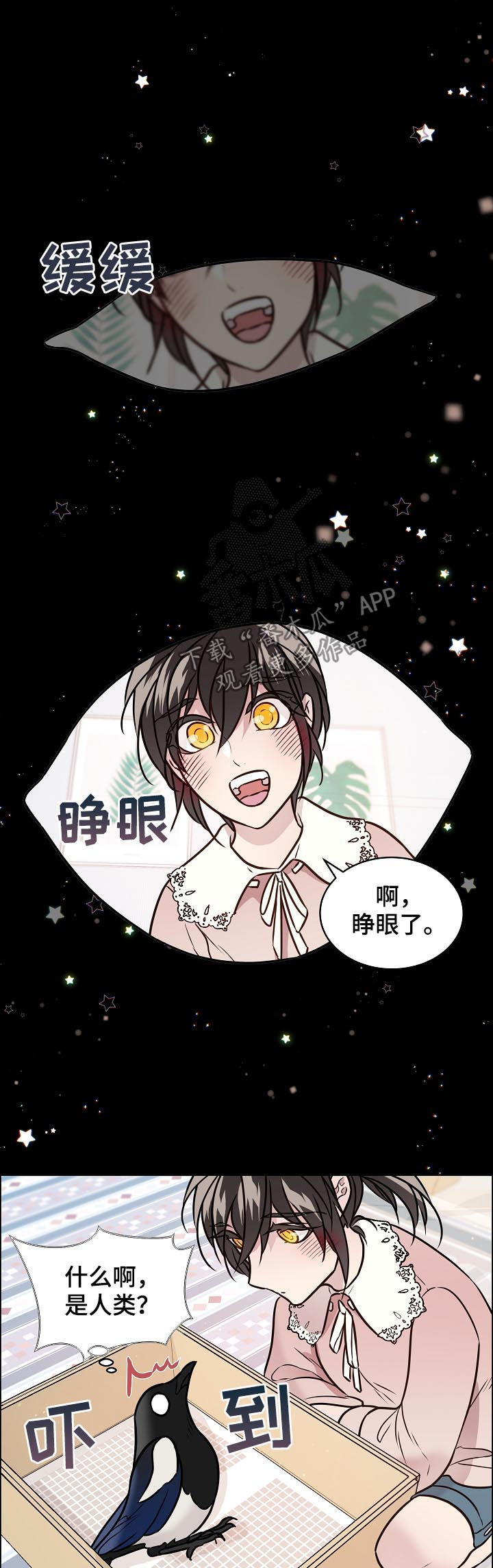 第68章：照顾4