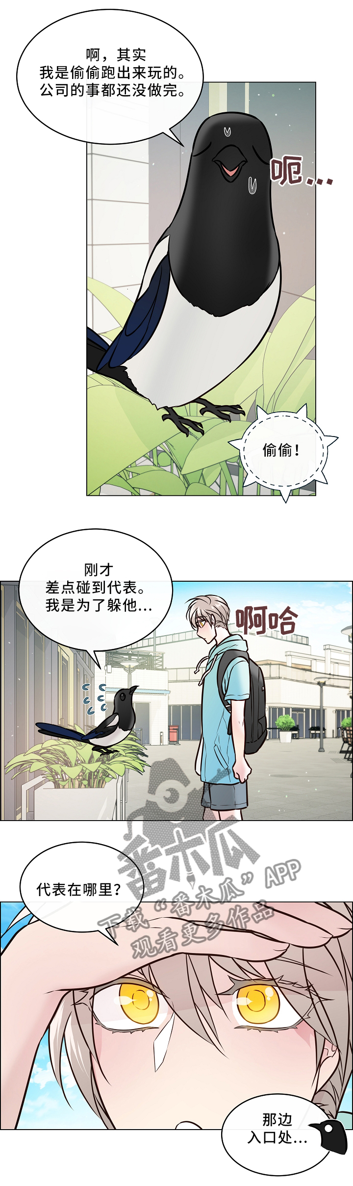 第43章：喜鹊的秘密1