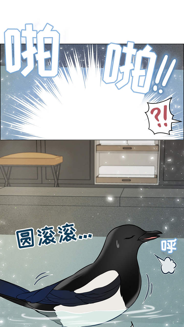 第38章：补偿1