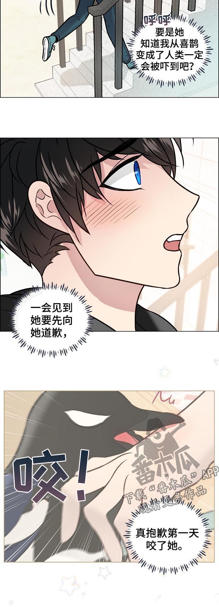第72章：搬家3