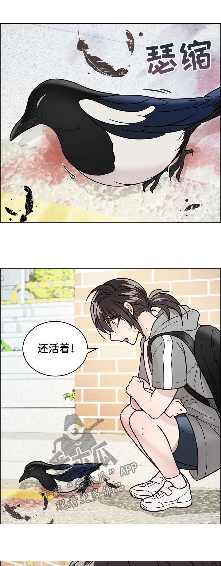 第67章：交通事故4