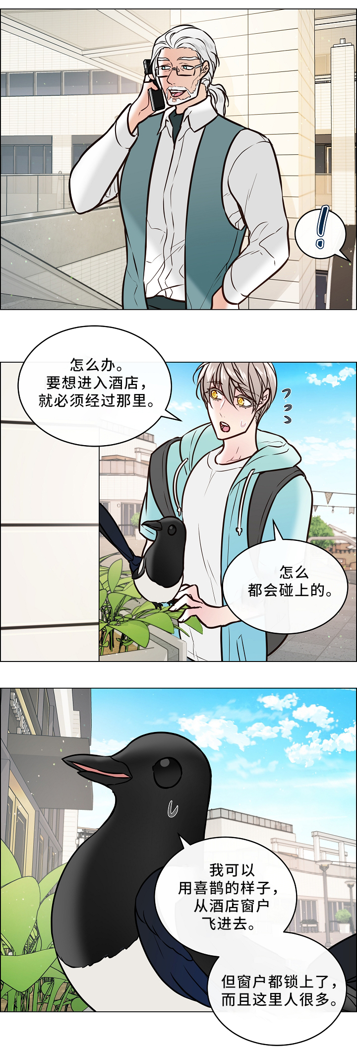 第43章：喜鹊的秘密2