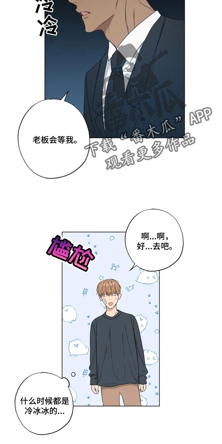 第19章：信息材料3