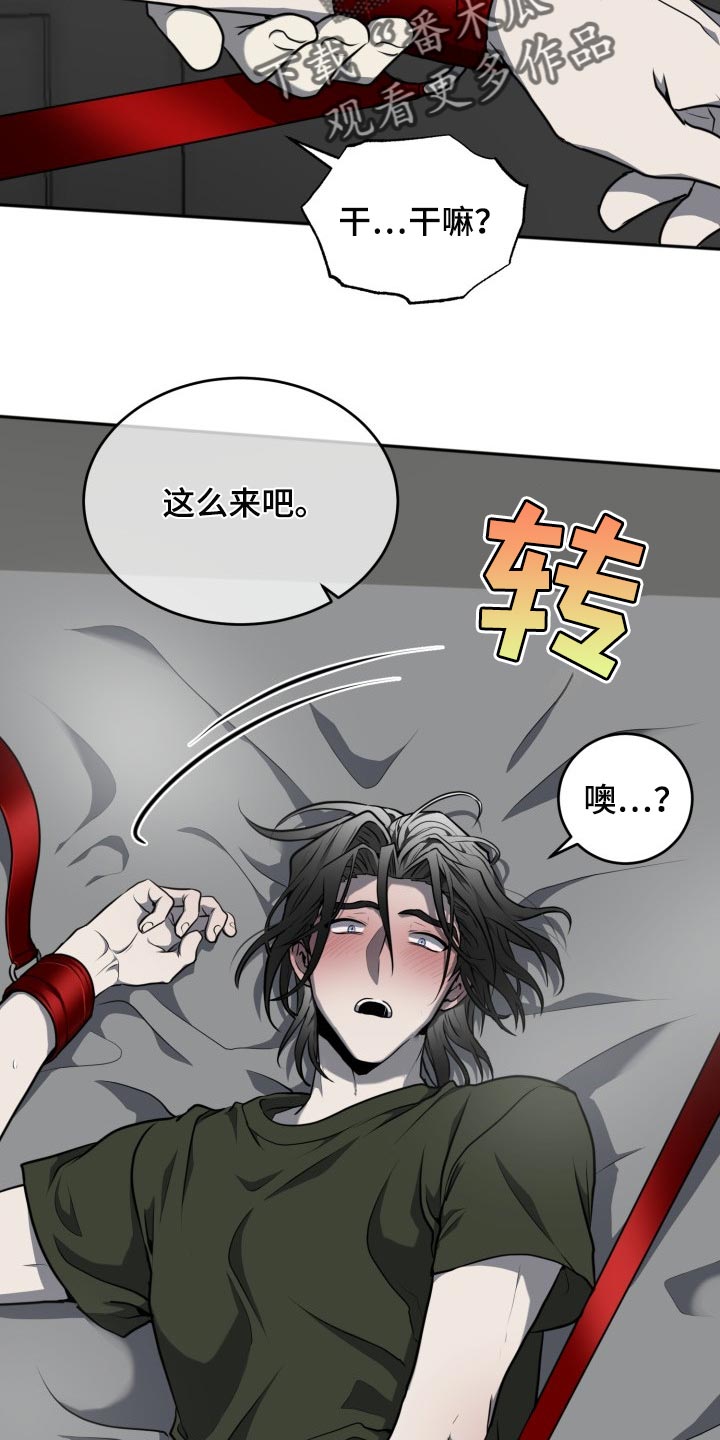 第19章：利用2