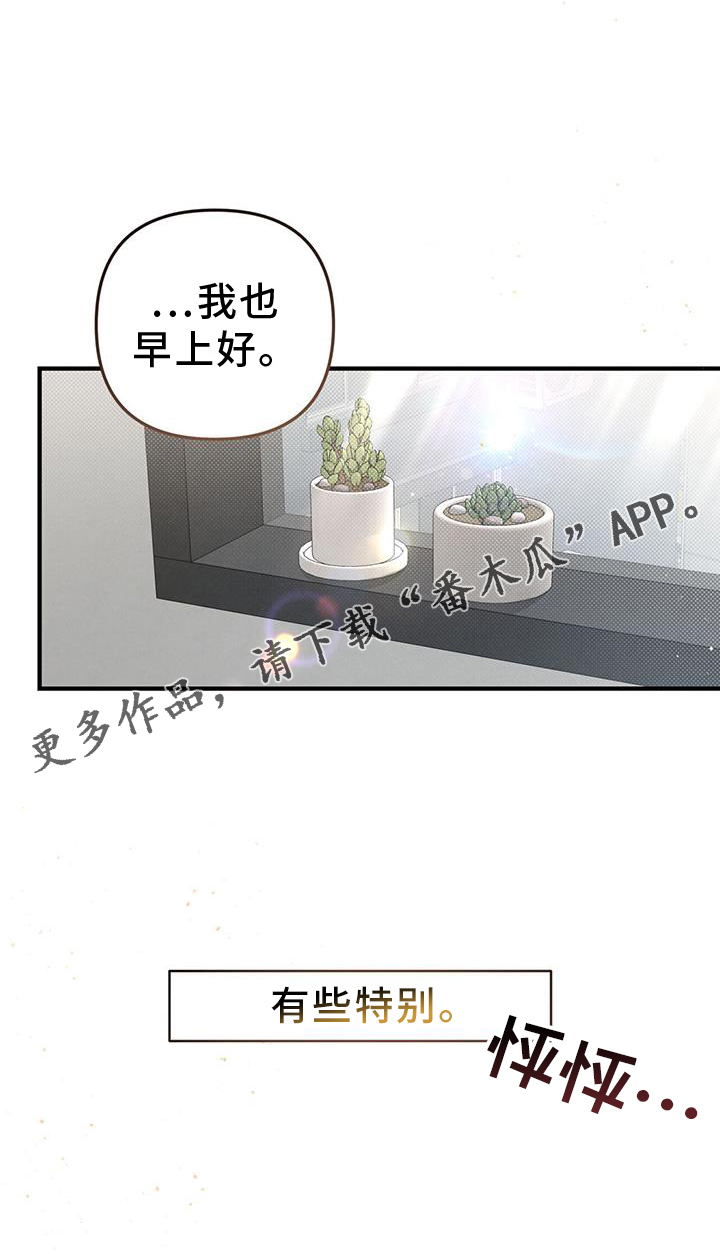 第51章：特别3