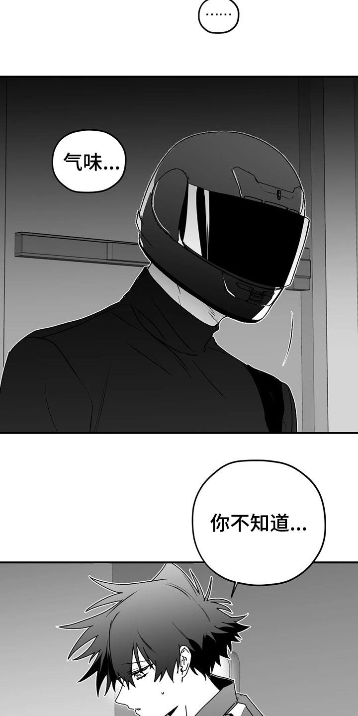 第54章：发现2