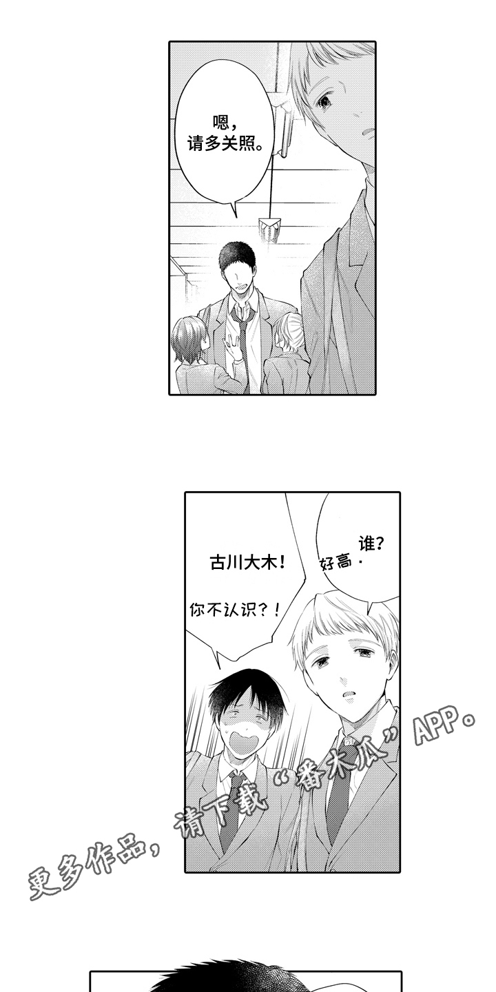 第19章：想法0