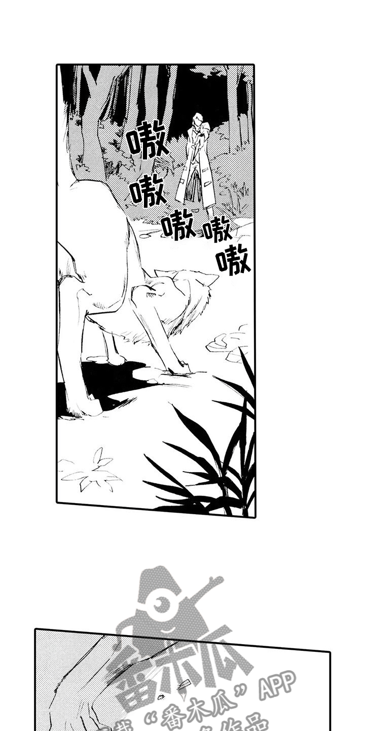 第13章：他说谎了4