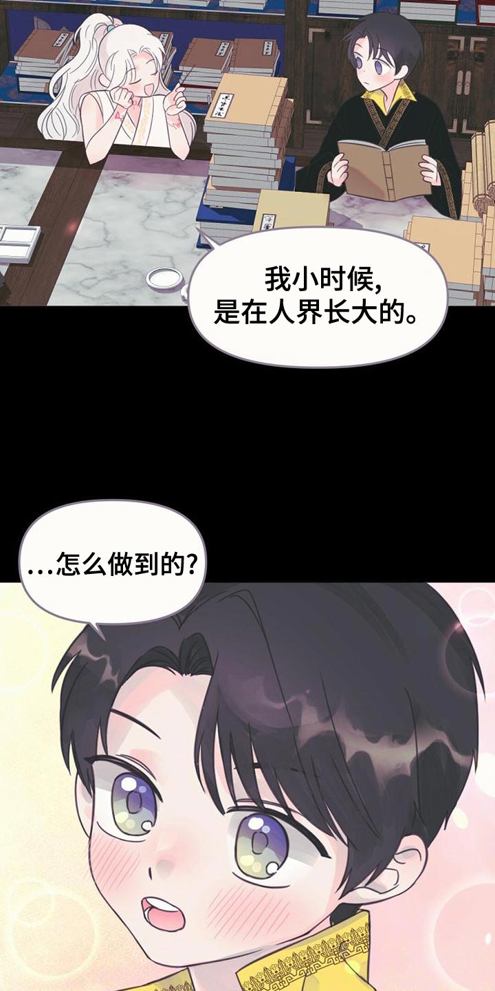 第36章：龙的国家1