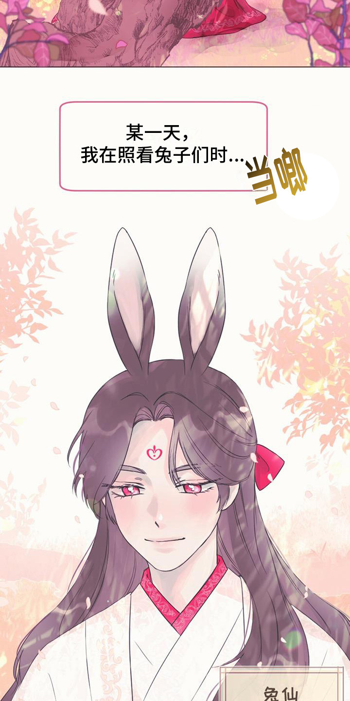 第1章：幼龙1