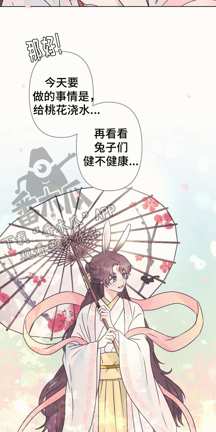 第11章：装可爱1