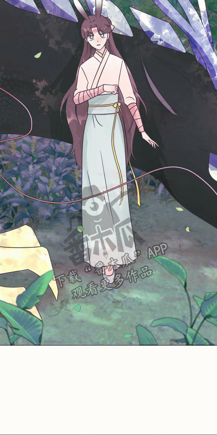 第24章：消除耳朵1