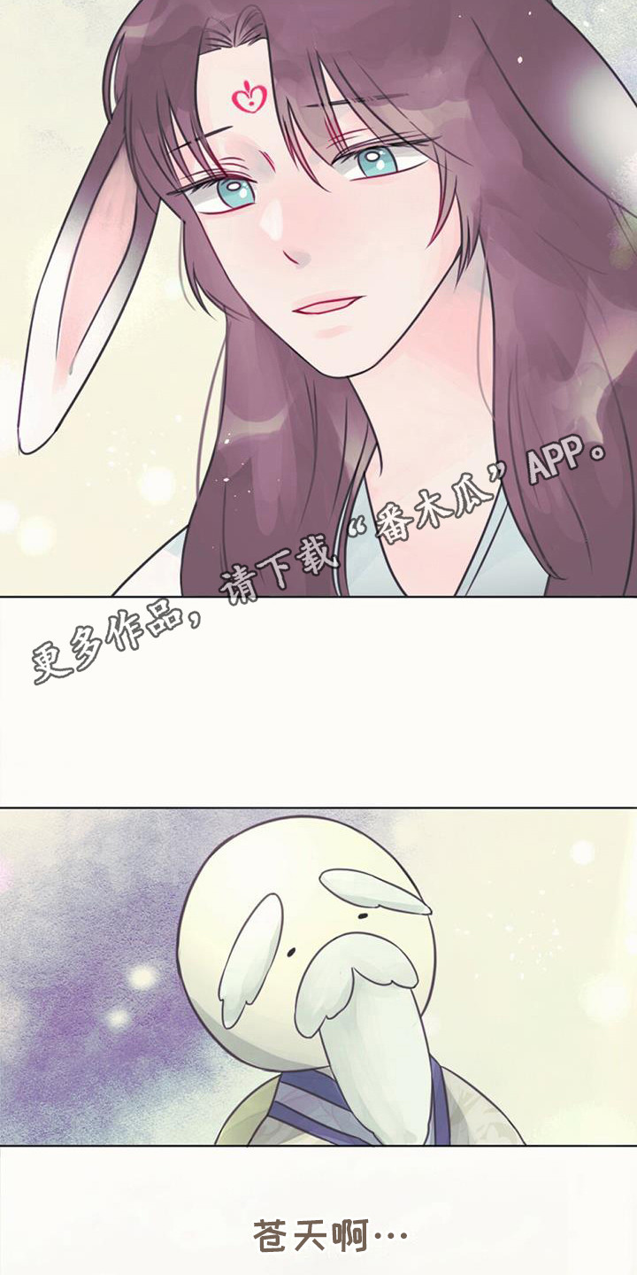 第21章：查找资料4