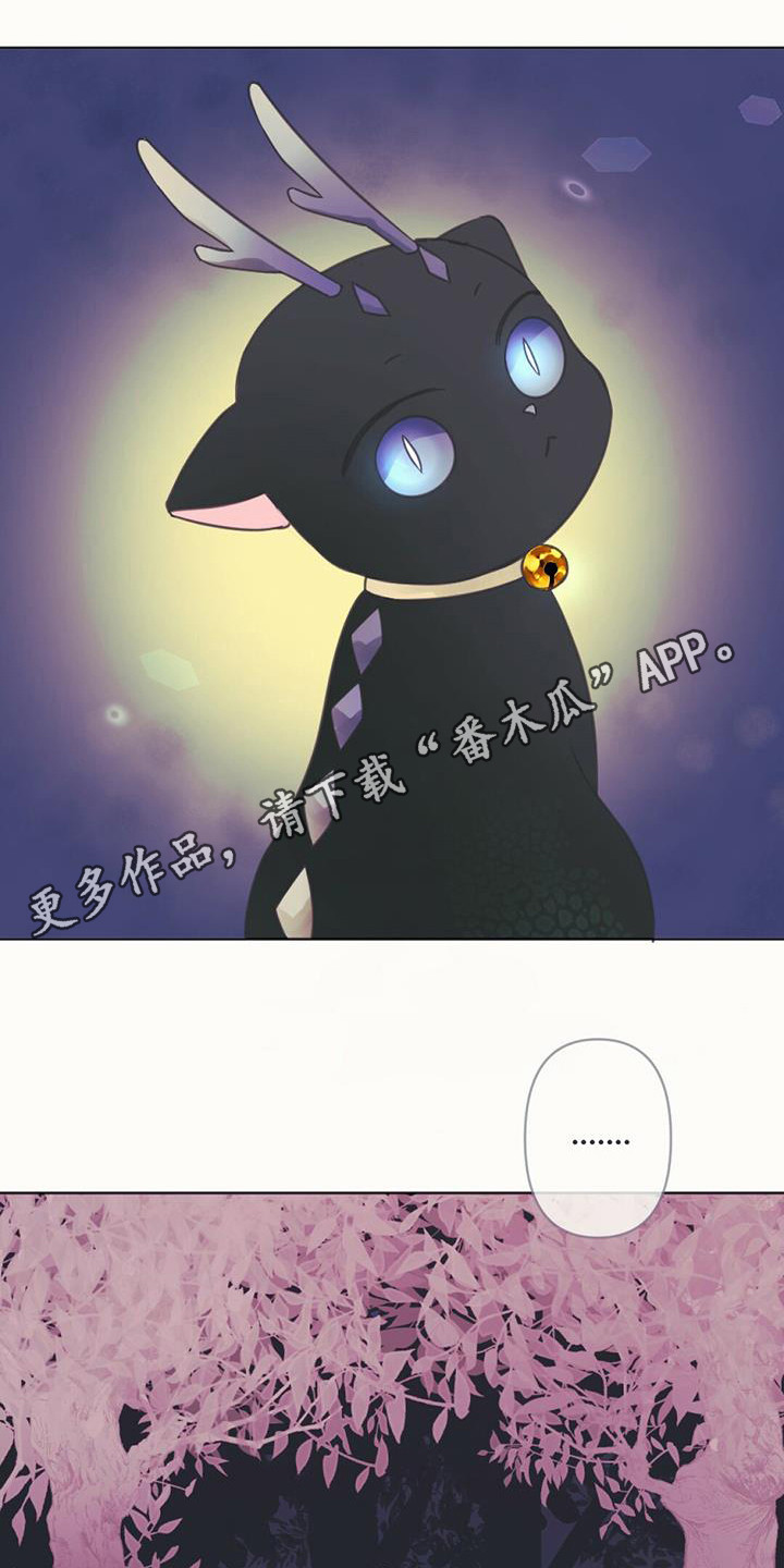 第11章：装可爱4