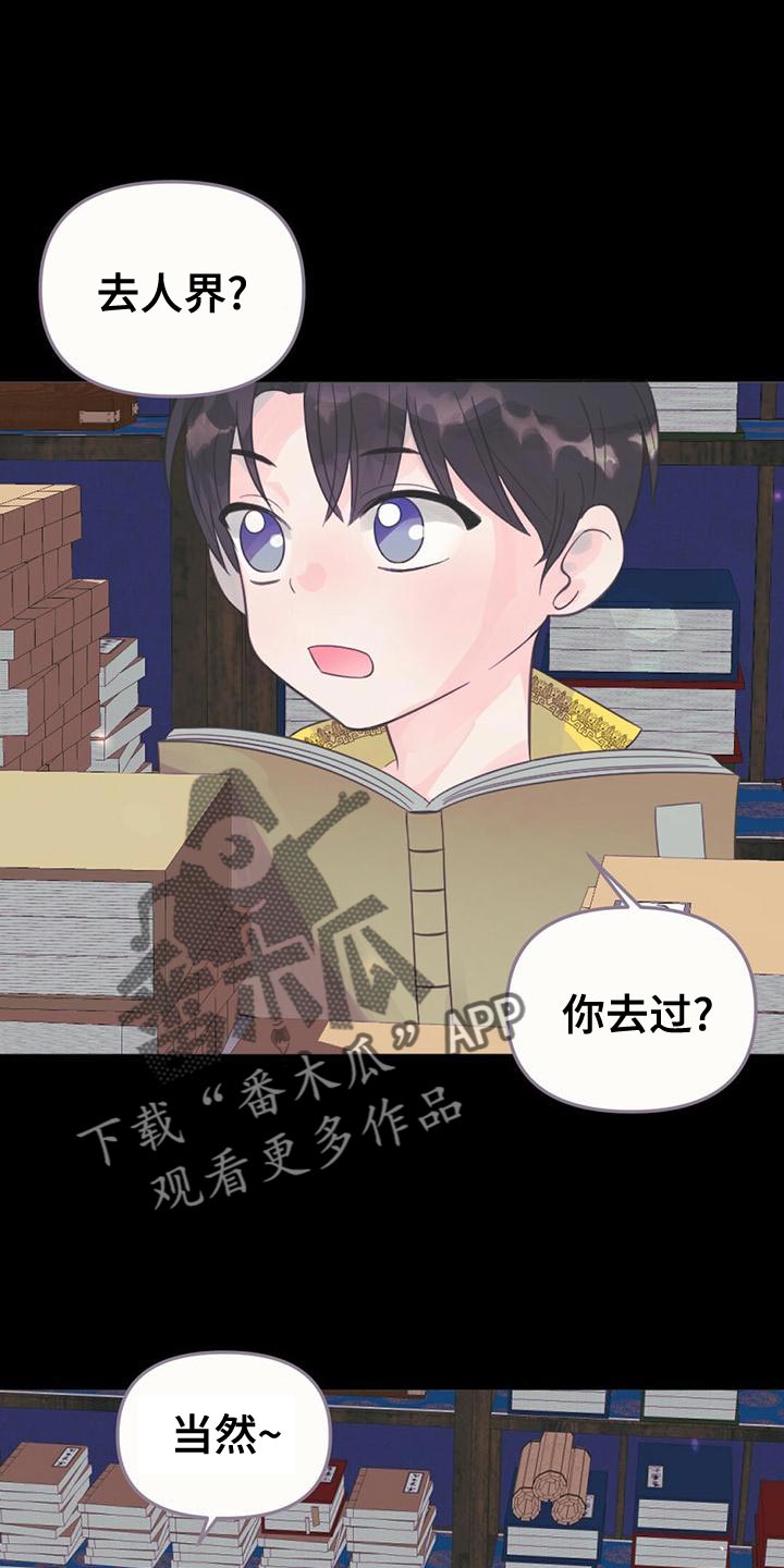 第36章：龙的国家0