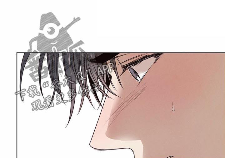 第34章：怀疑0