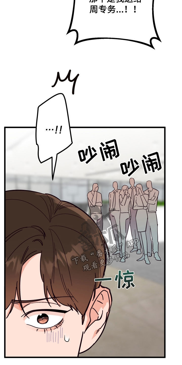 第50章：花粉过敏4
