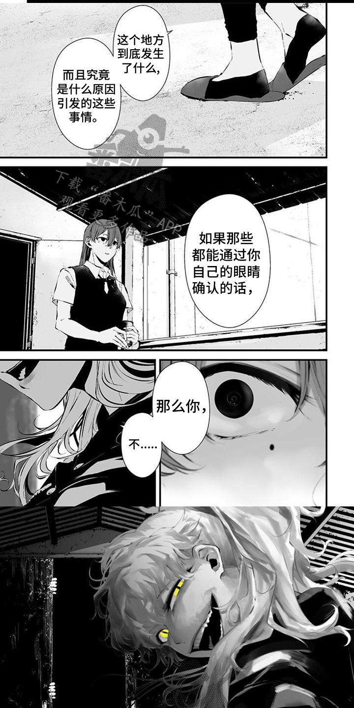 第33章：聪明的猫1