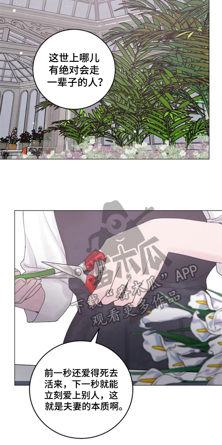 第4章：沉默的答案4
