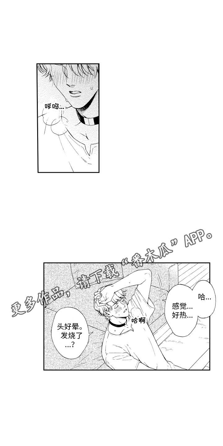 第5章：信息素3
