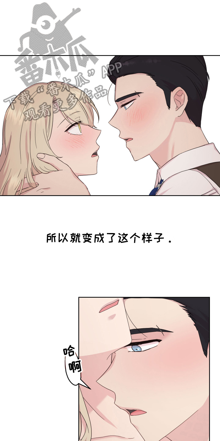 第17章：证明3