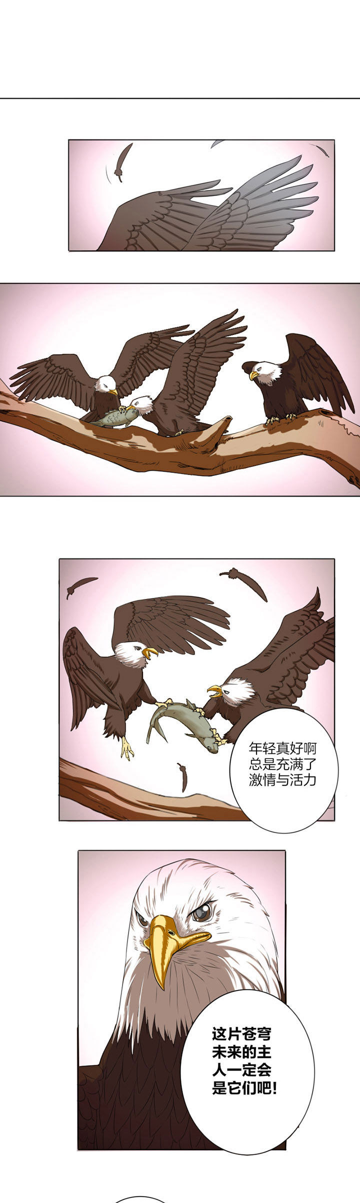 第16章：0