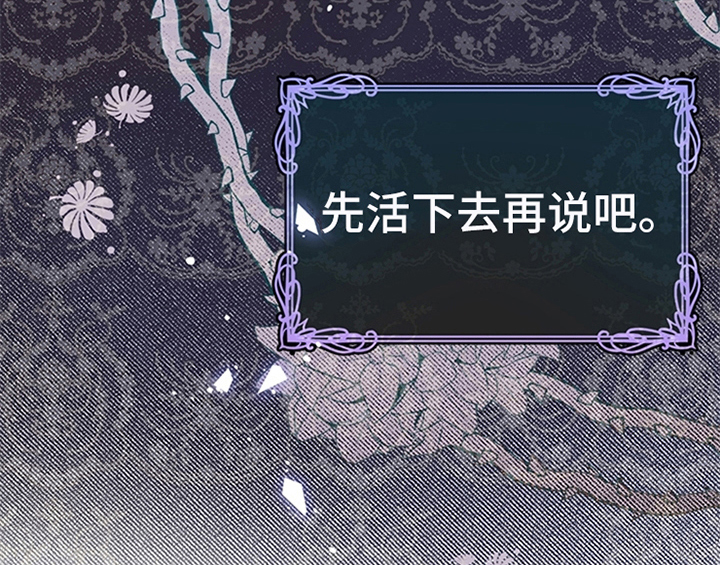 第7章：安排3