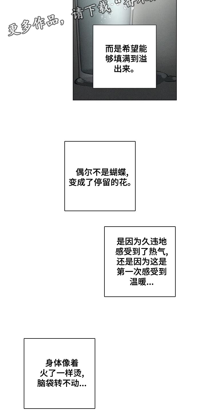 第41章：病入药膏4