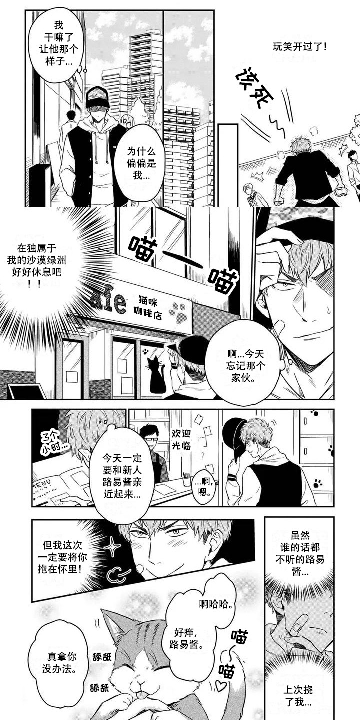 第2章：猫咪咖啡店0
