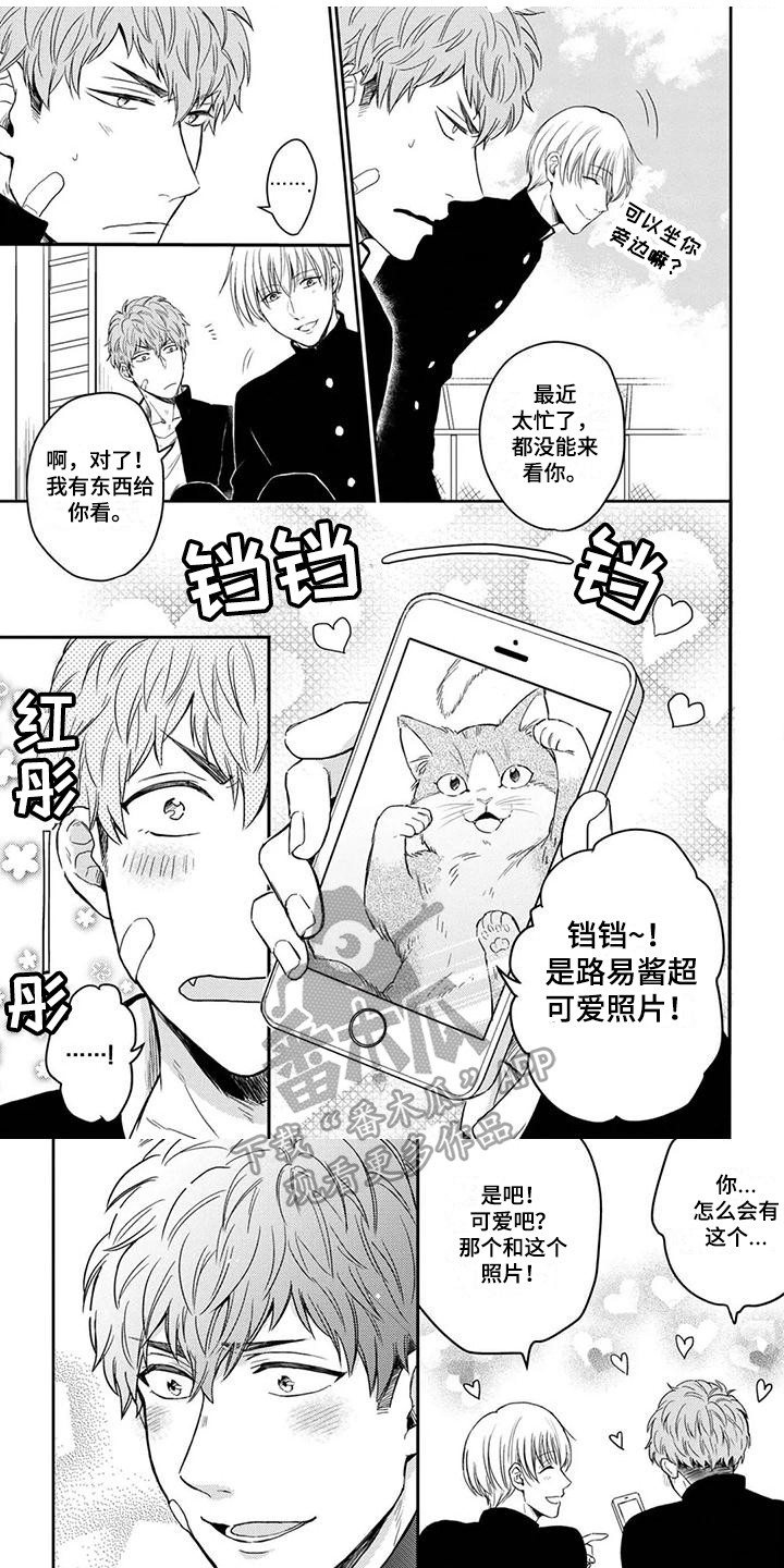 第6章：摊牌0