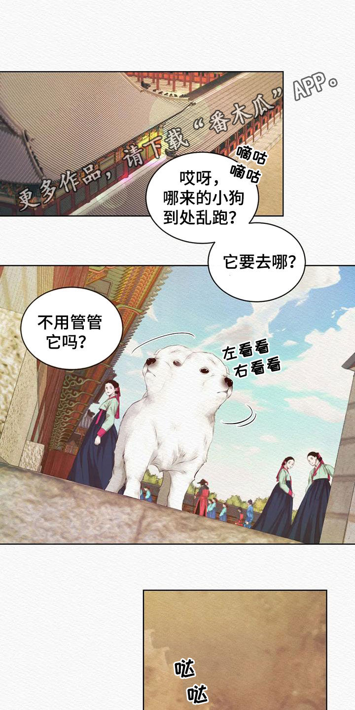 第17章：巫师0