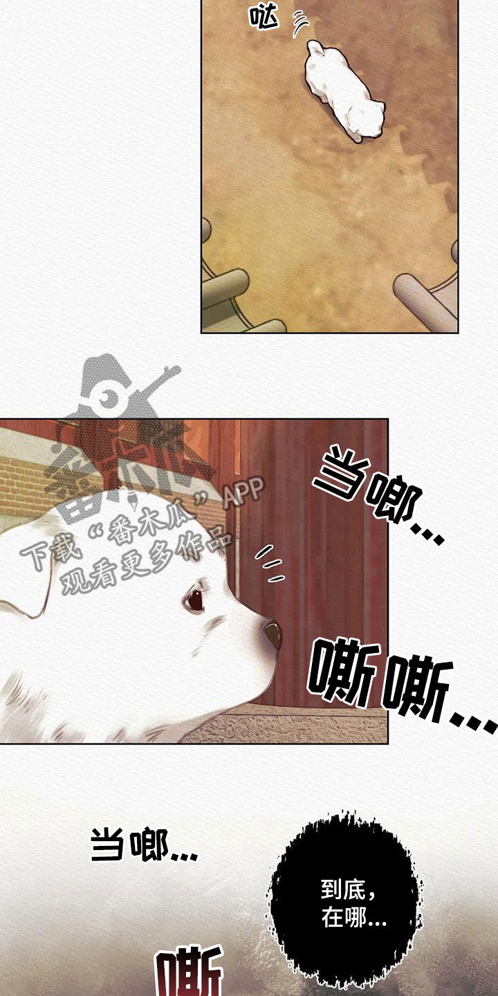 第17章：巫师1